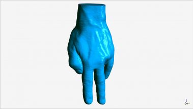 Quasi by Ronnie Van Hout 05