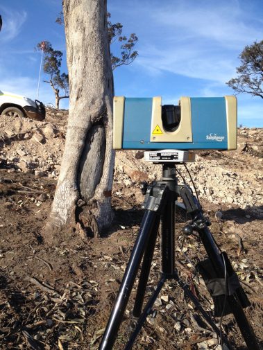 wysiwyg3d 3d laser scanning First Nations Scar Tree onsite scanning photogrammetry