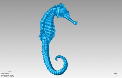 3D Scanning Seahorse jewellery jewellery