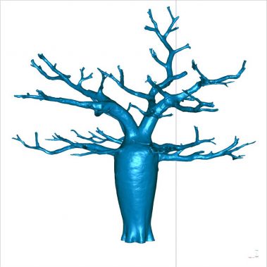 wysiwyg3d lidarscanning australia