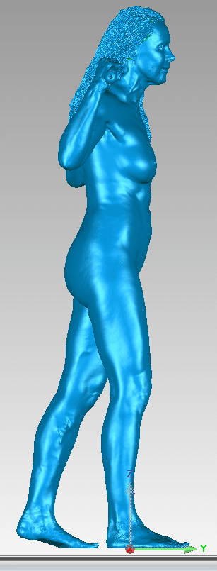 3d model of the women for Nell's installation sculpture for the loti smorgon terrace of the museum of contemporary art. Wysiwyg 3d have 3d scanned and digitally edited the model to fit Nell's artistic vision. this is a screenshot of the digital model from Wysiwyg 3d's software.
